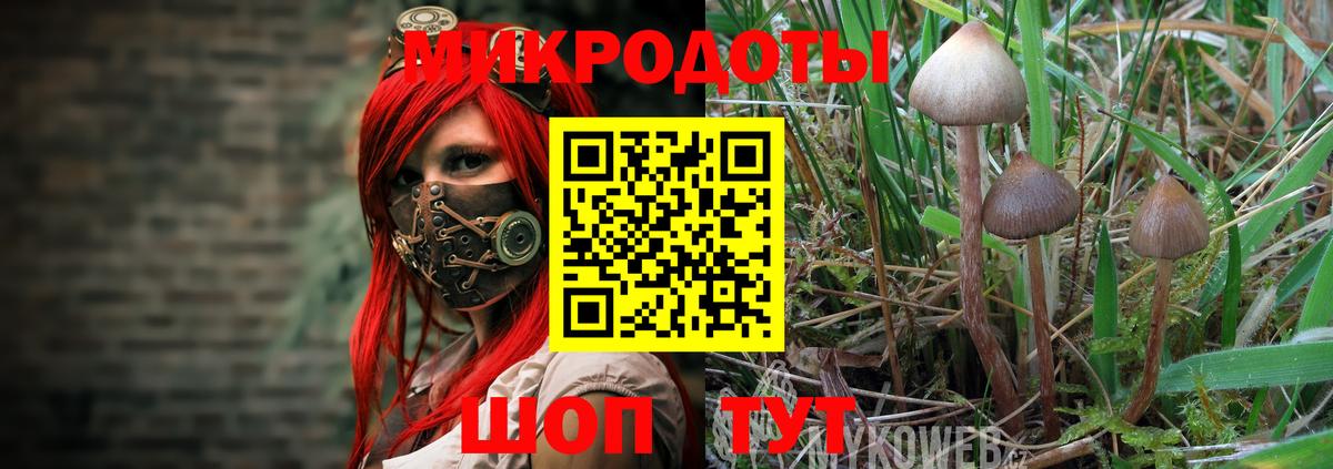 Галлюциногенные грибы Psilocybe Комсомольск-на-Амуре