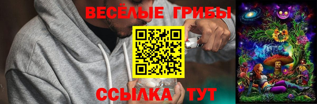 Комсомольск-на-Амуре  Псилоцибиновые грибы Psilocybine cubensis  Галлюциногенные грибы прущие грибы  Вход с VPN 